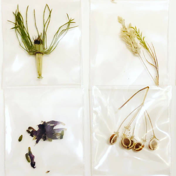 Bioforensics analysis