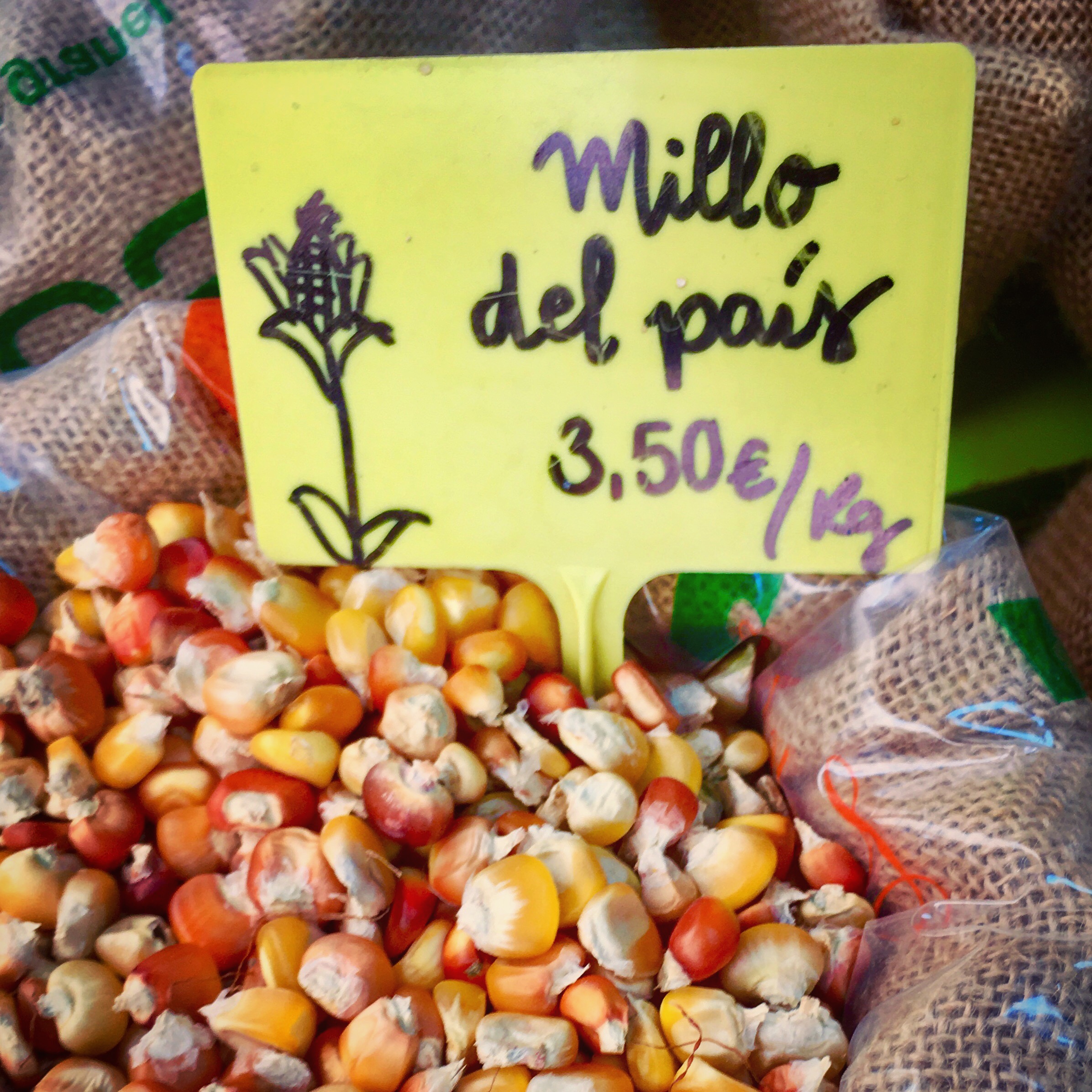 Seeds are food