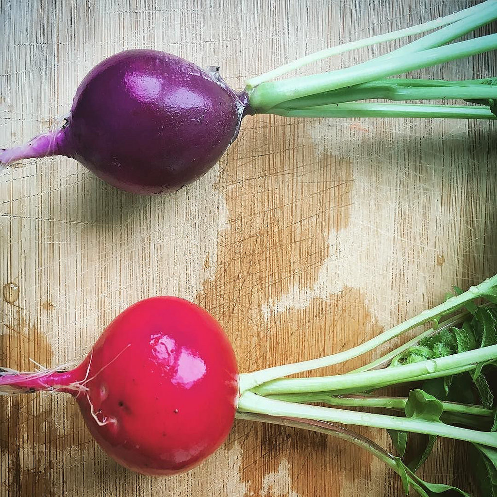 Purple radish