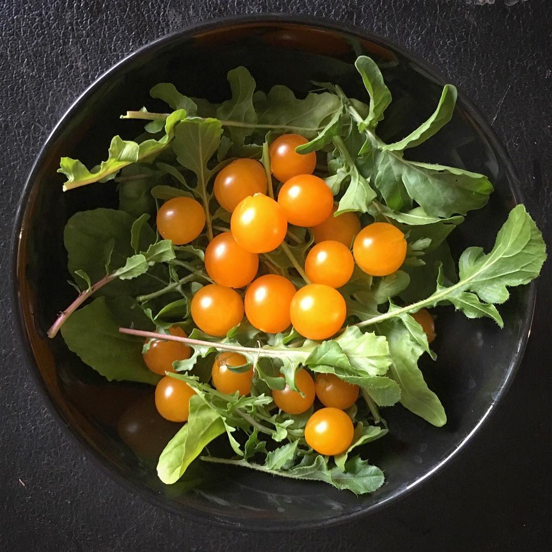 Cherry tomato the balcony king