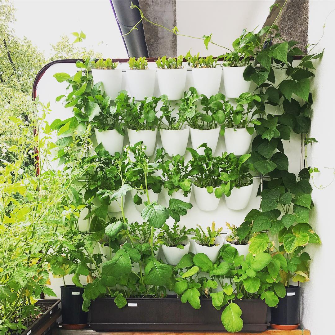 Vertical Wall Update