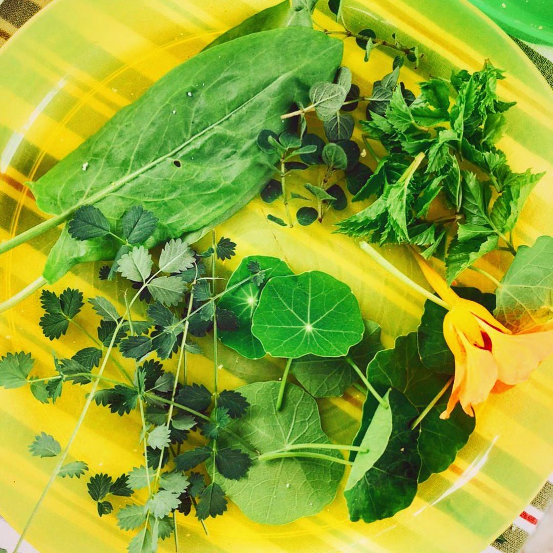 Wild Leaves